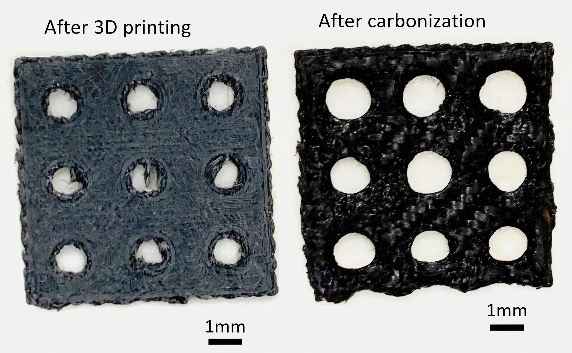 I zoomed in shot of 3d printer that is 1mm in size that shows the different after the 3d printer and after carbonization